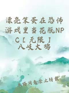 漂亮笨蛋在恐怖游戲里當(dāng)花瓶NPC［無限］