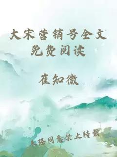 大宋營(yíng)銷號(hào)全文免費(fèi)閱讀