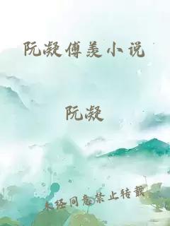 阮凝傅羨小說