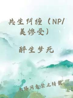 共生糾纏（NP/美慘受）