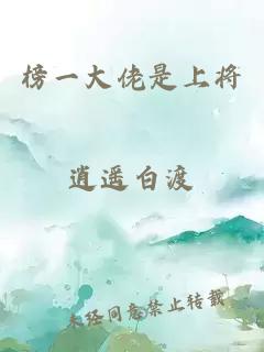 榜一大佬是上將